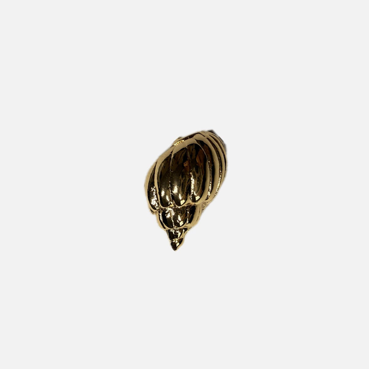 Gold conch shell on a white background