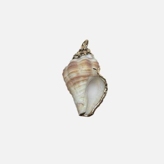 Seashell charm on a white background