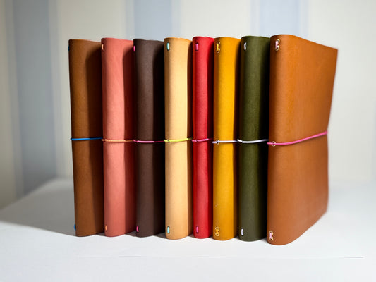 Set of eight leather-bound books in various colors on a white surface.