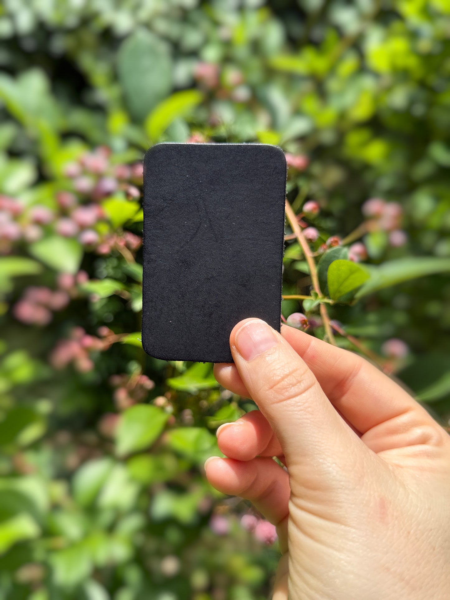 Hand holding a black square card against a blurred green foliage background