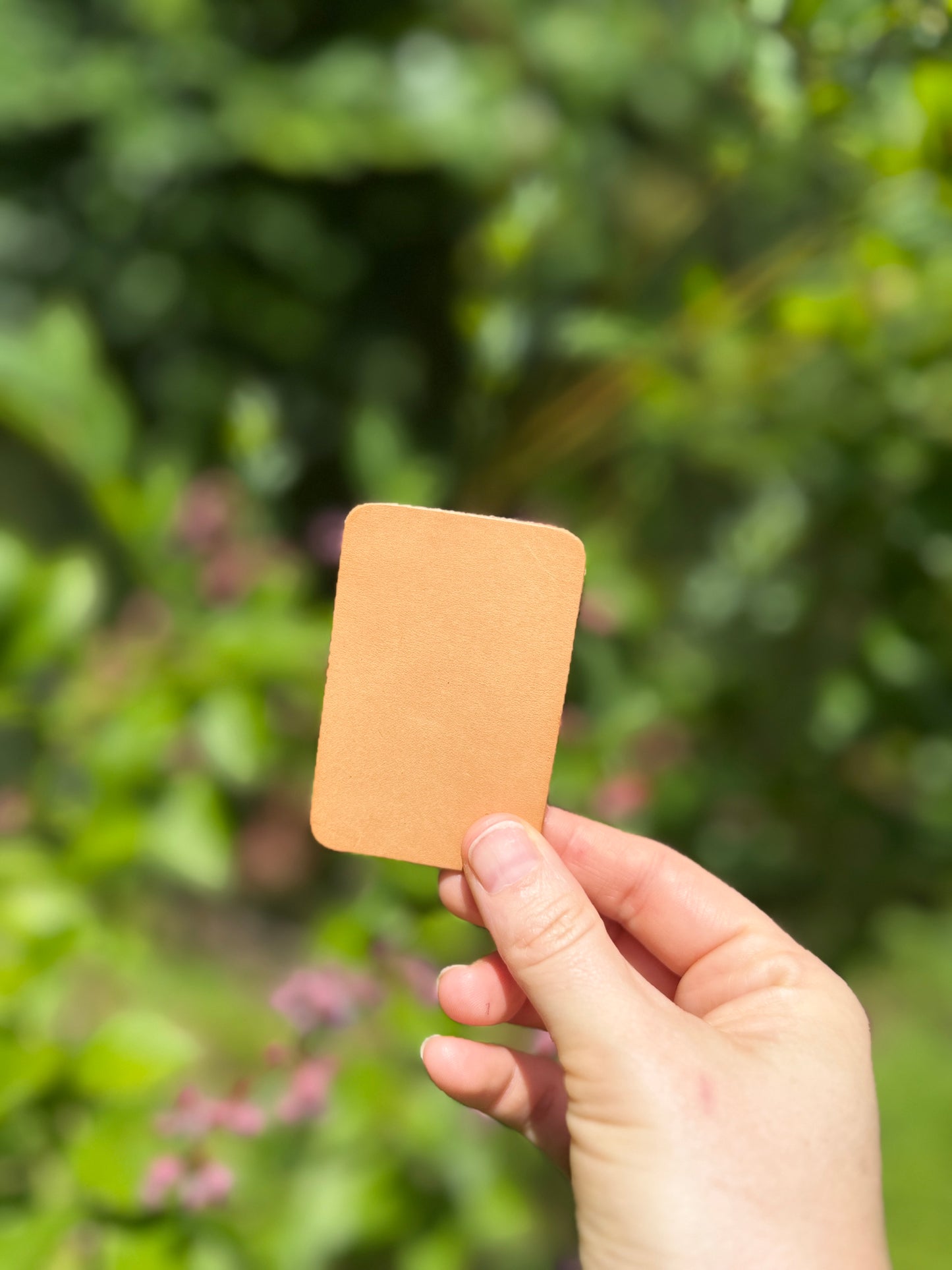 Hand holding a square brown sample card against a blurred green outdoor background
