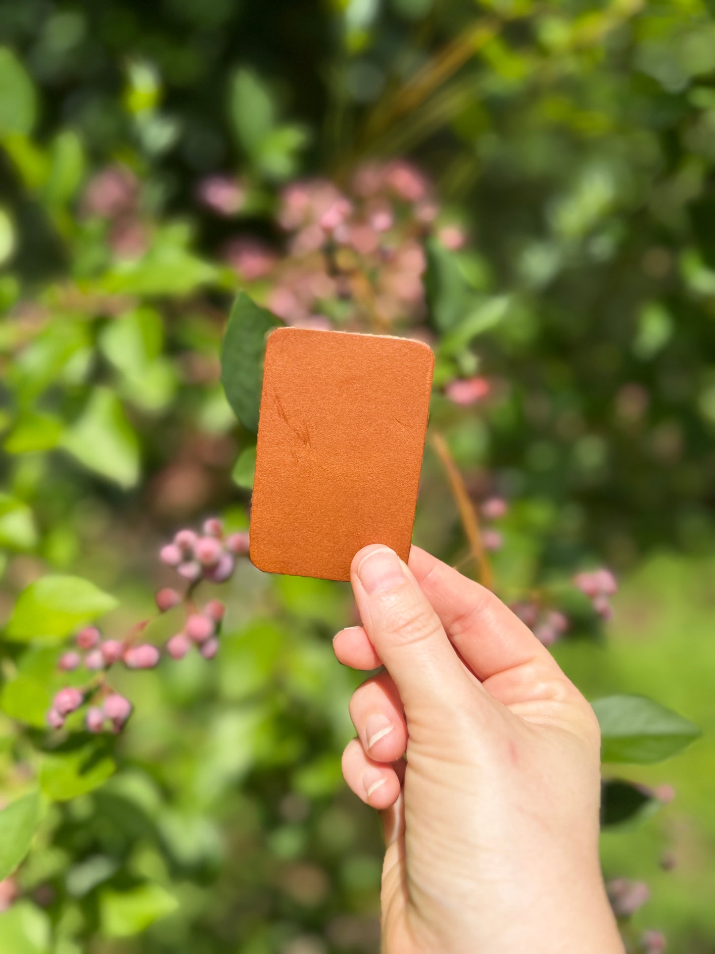 Hand holding a brown square patch against a blurred green outdoor background