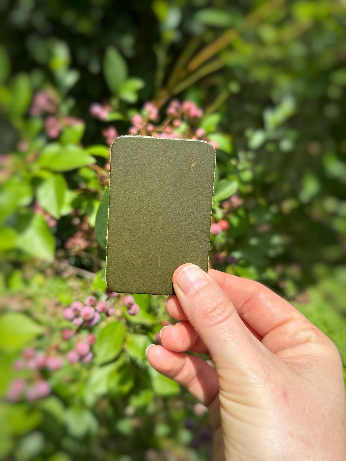 Hand holding a green color swatch against a blurred natural background