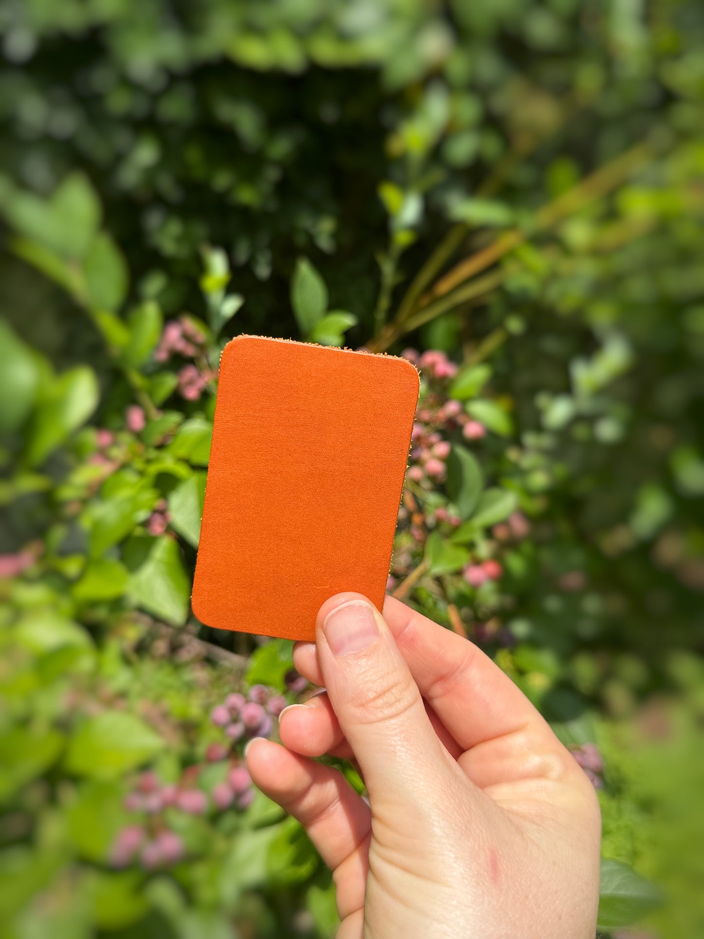 Hand holding an olmo color swatch against a blurred green outdoor background