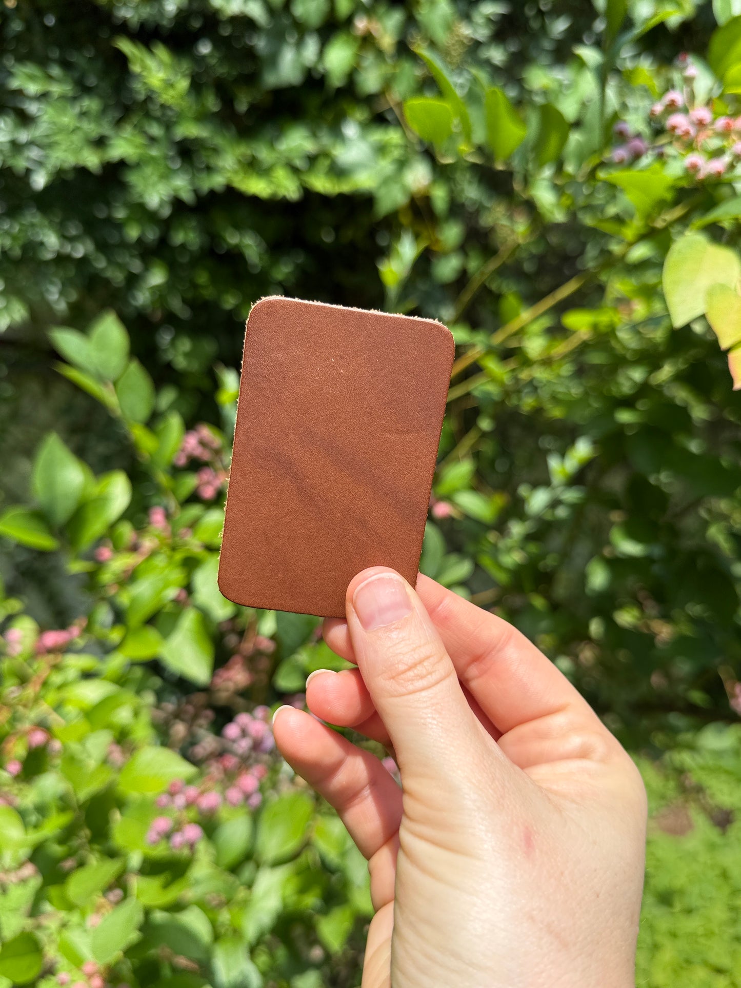 Hand holding a small brown square in front of a green leafy background