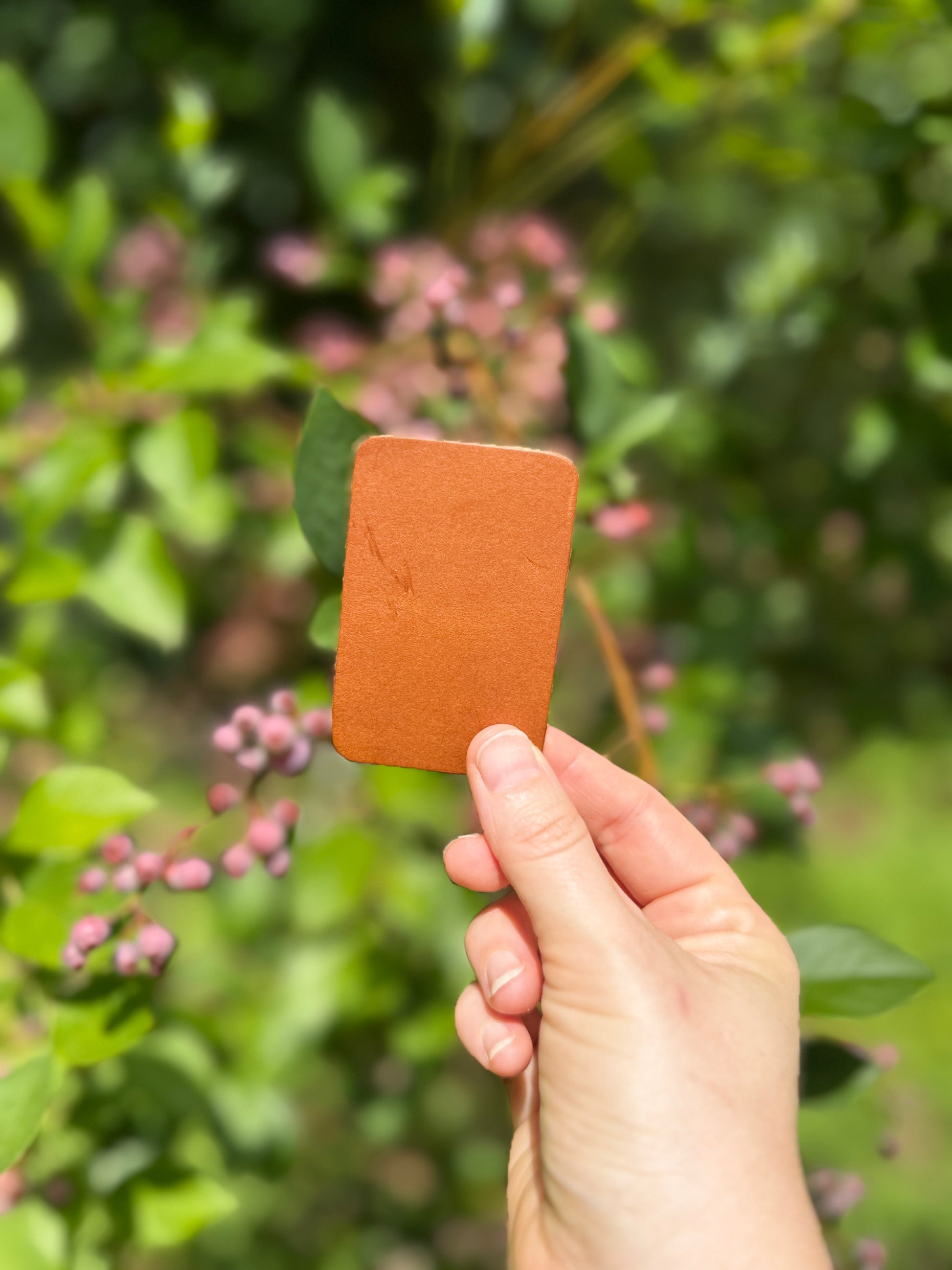 Hand holding a brown square patch against a blurred green outdoor background