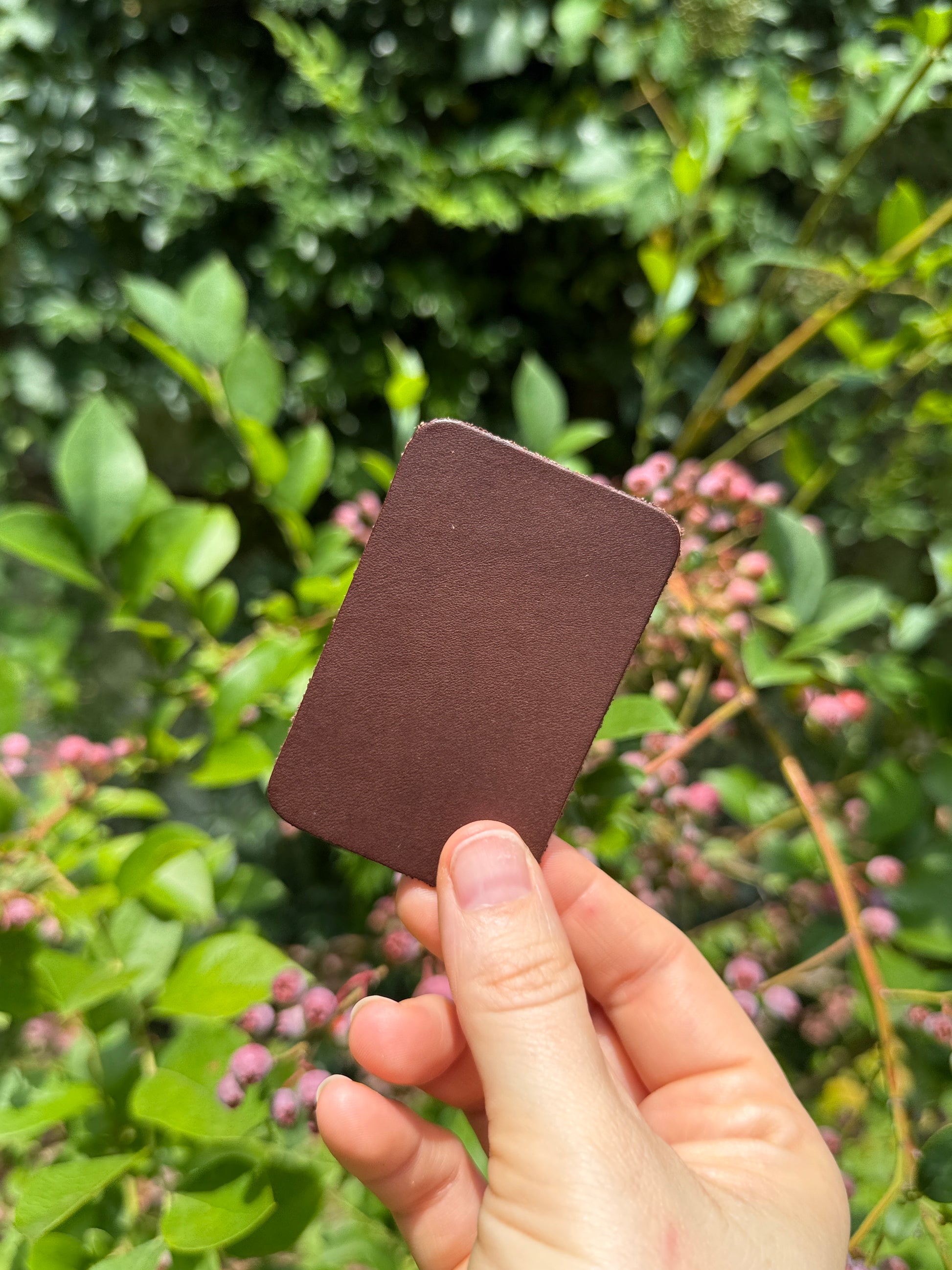 Hand holding a brown square card against a green leafy background