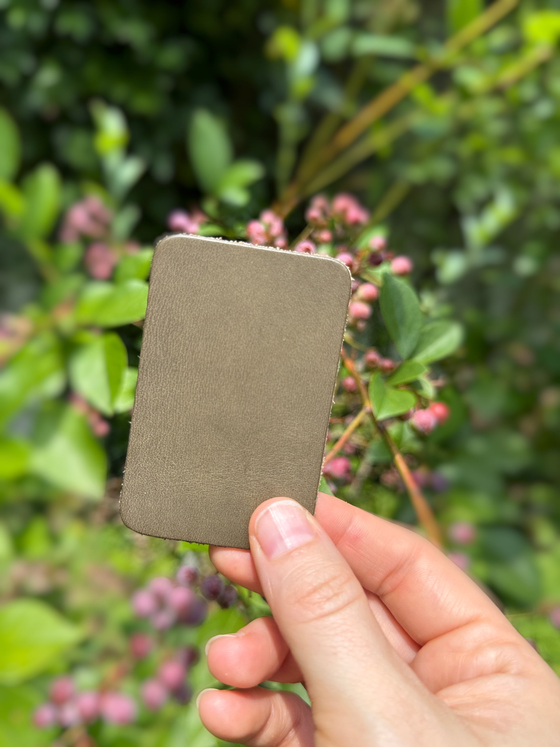 Hand holding a gray color swatch in front of a blurred green and pink plant background