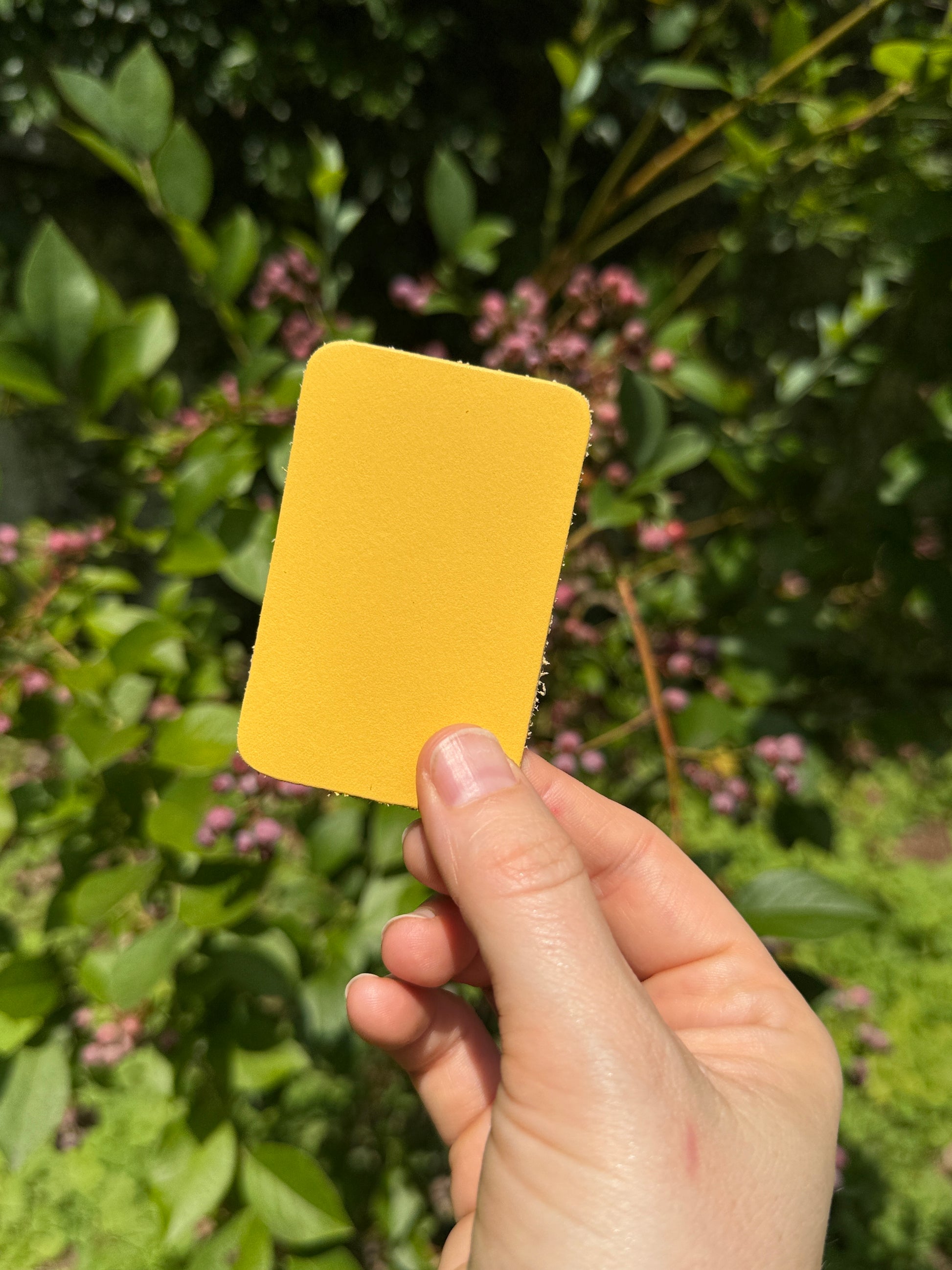 Hand holding a honeysuckle yellow piece of leather against a green leafy background