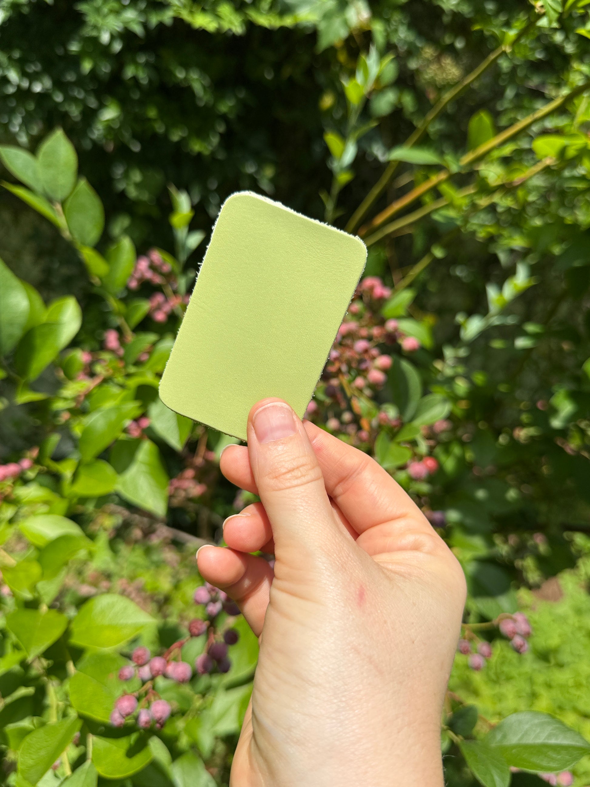 Hand holding a pistachio green leather piece in front of a blurred natural background
