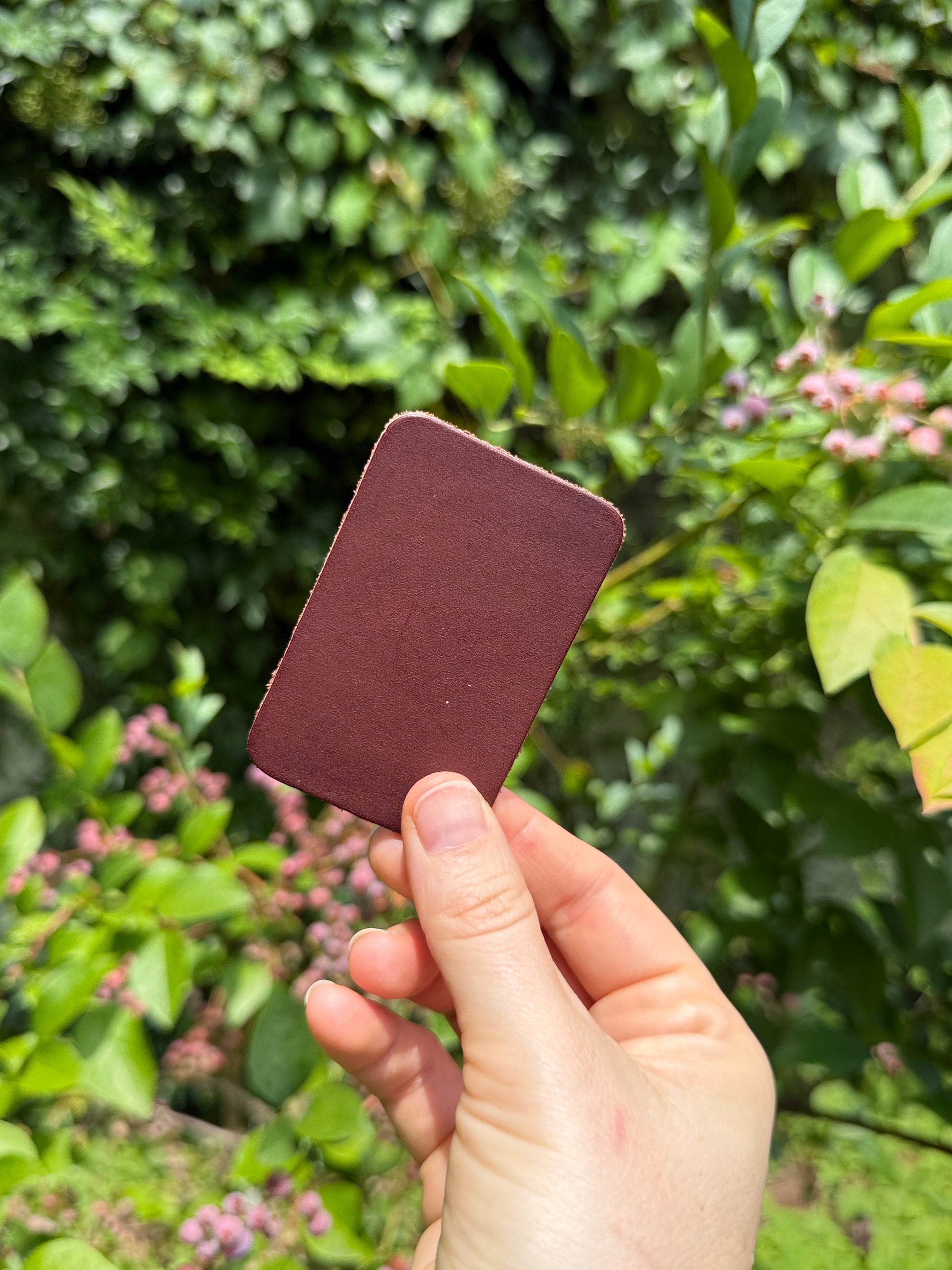 Hand holding a maroon/tobacco square object against a green leafy background