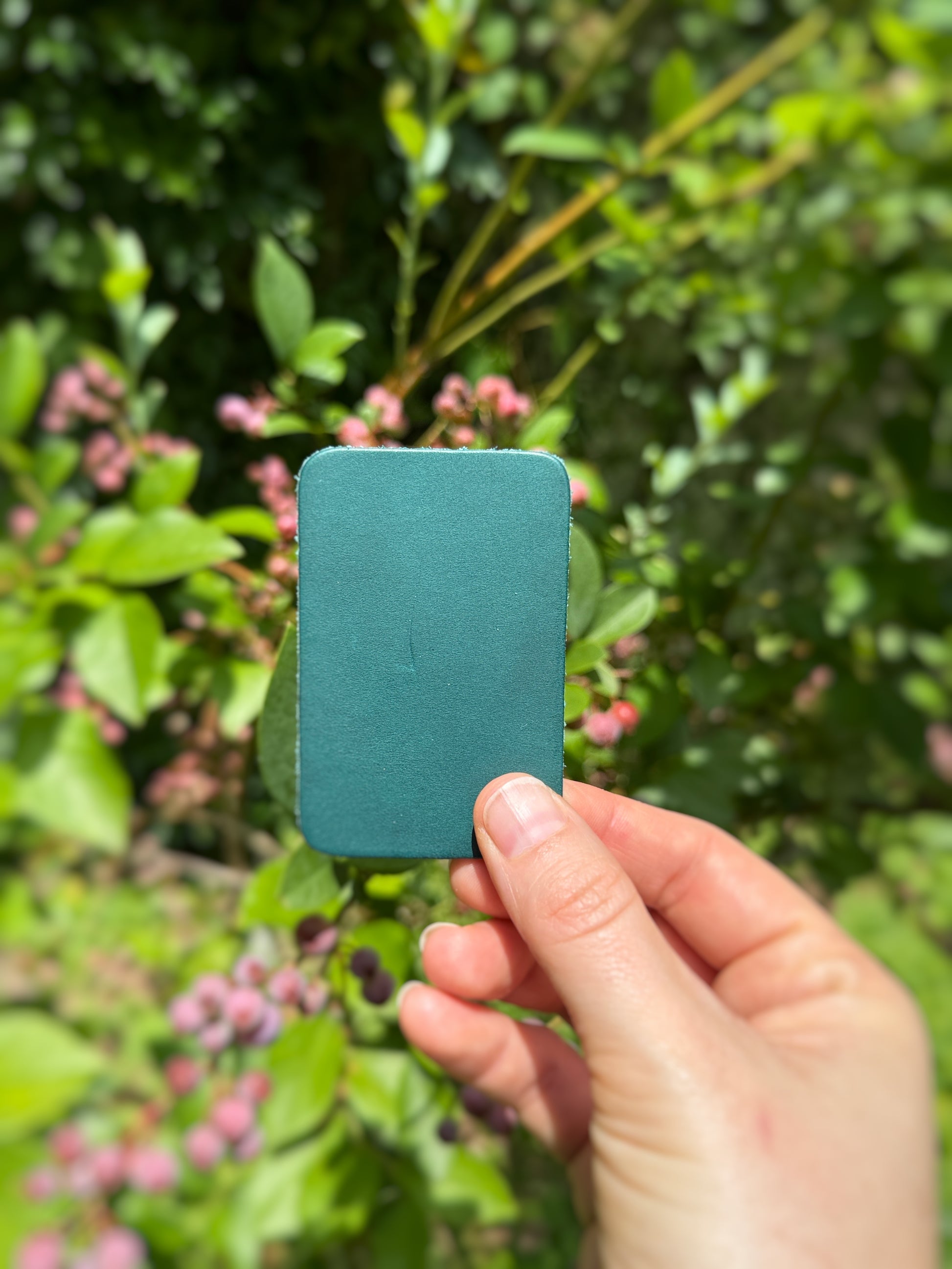 Hand holding a teal color swatch against a blurred green background