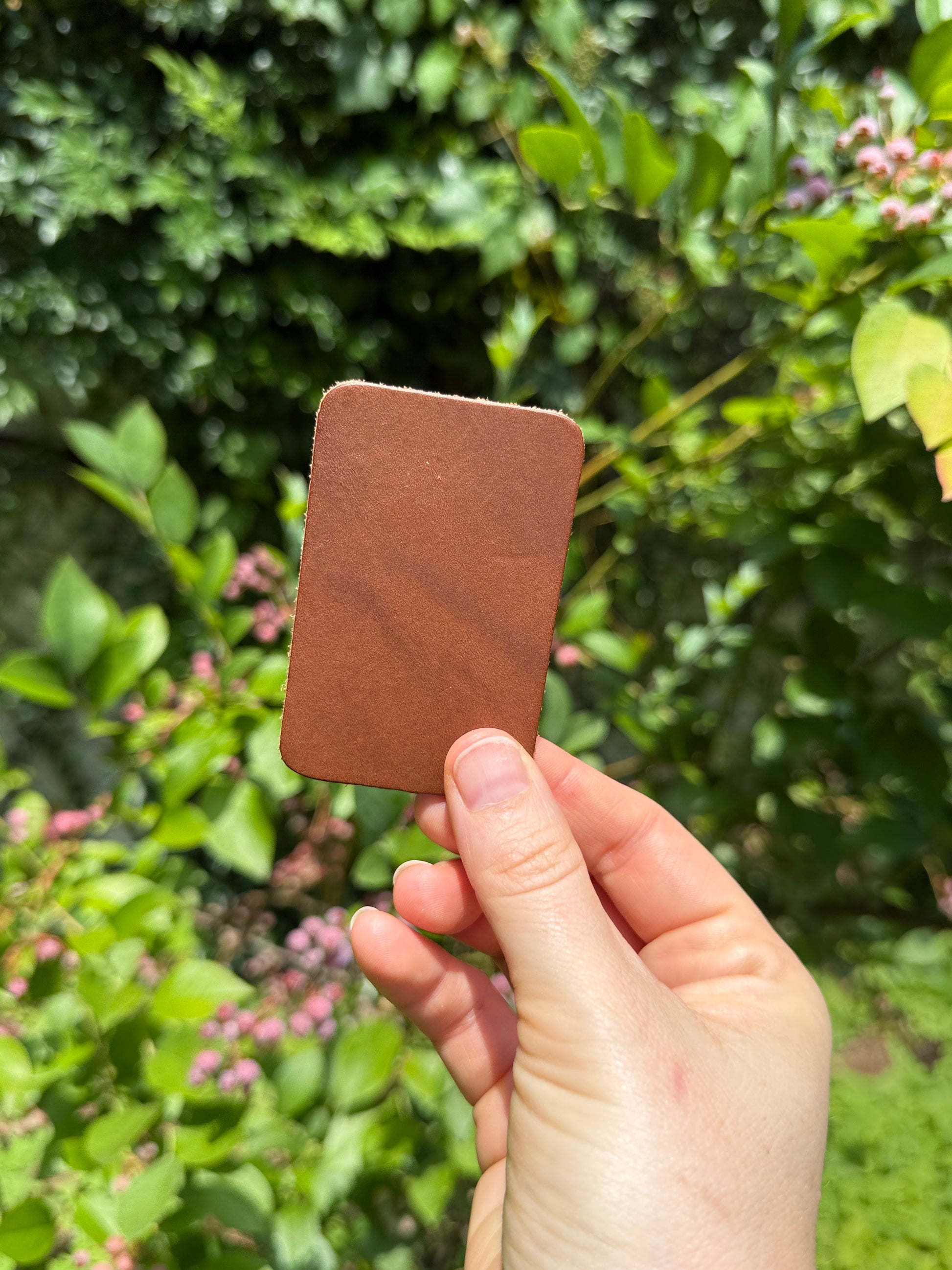 Hand holding a small brown square in front of a green leafy background