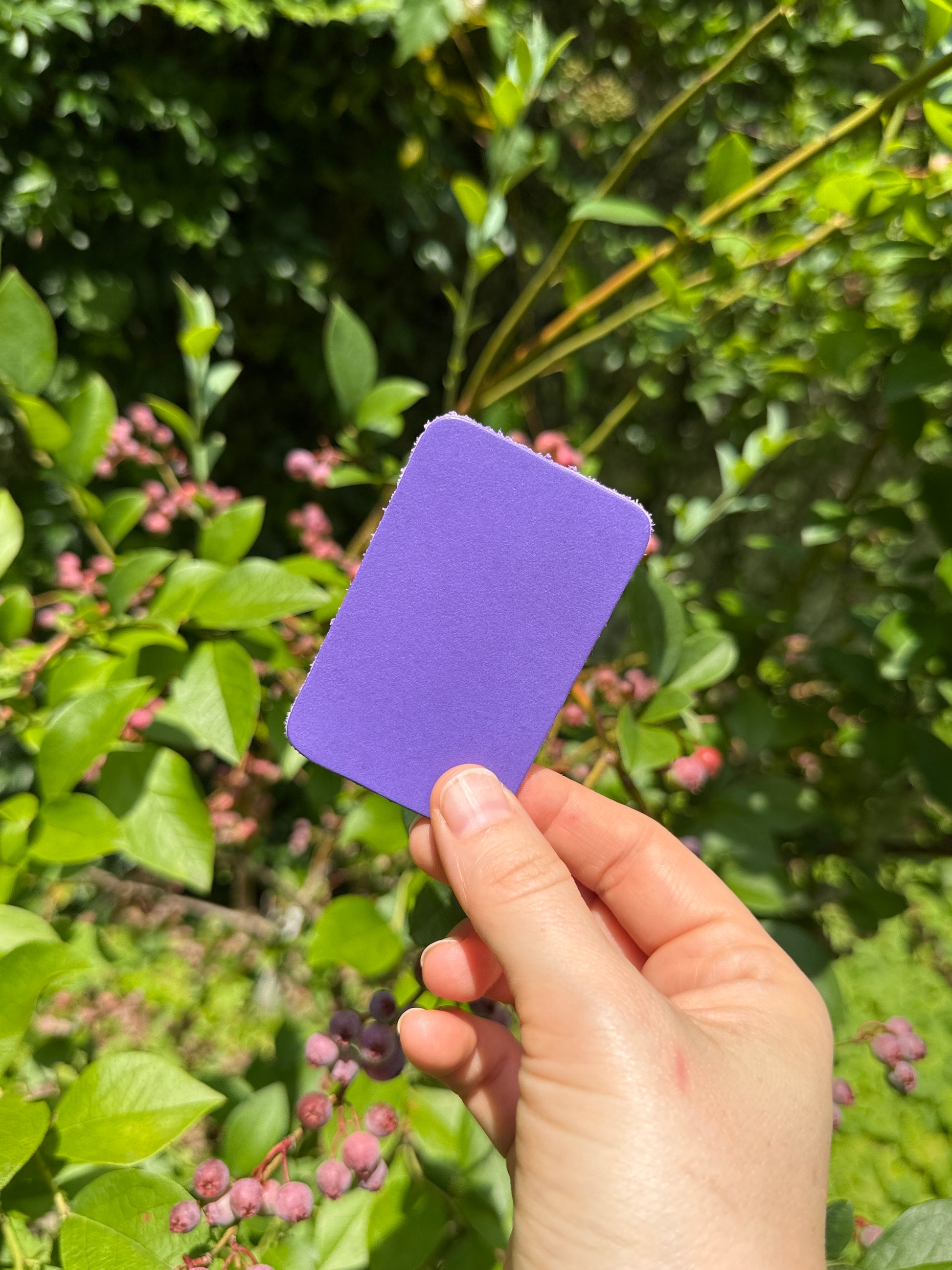 Hand holding a purple leather piece in front of green foliage